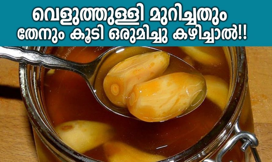 വെളുത്തുള്ളിയും തേനും ഒരുമിച്ച് കഴിച്ചാൽ ഇതായിരിക്കും ഫലം. | Healthy garlic Honey Malayalam