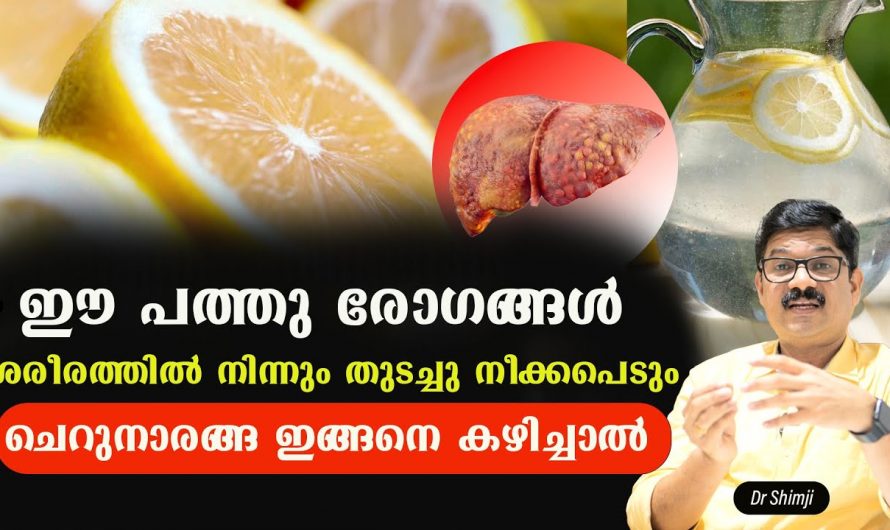 ഈ പത്ത് രോഗങ്ങളെ ഇനി നിസാരമായി ഇല്ലാതാക്കാം. വളരെ നിസ്സാരമായ ഈ ചെറുനാരങ്ങയുടെ ഗുണങ്ങൾ അറിഞ്ഞാൽ നിങ്ങൾ ഞെട്ടും. | Health Of Lemon Benefits