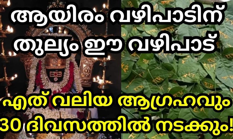 ഇനി അധികം വഴിപാടുകളൊന്നും നടതേണ്ട ആയിരം വഴിപാടിനു തുല്യമാണ് ഈ വഴിപാട്.