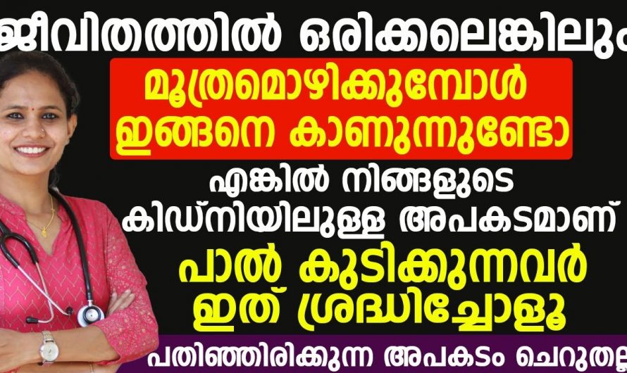 ദിവസവും പാല് കുടിക്കുന്നവർ ശ്രദ്ധിക്കുക പതിയിരിക്കുന്ന അപകടം ചെറുതല്ല. | Milk drinkers beware