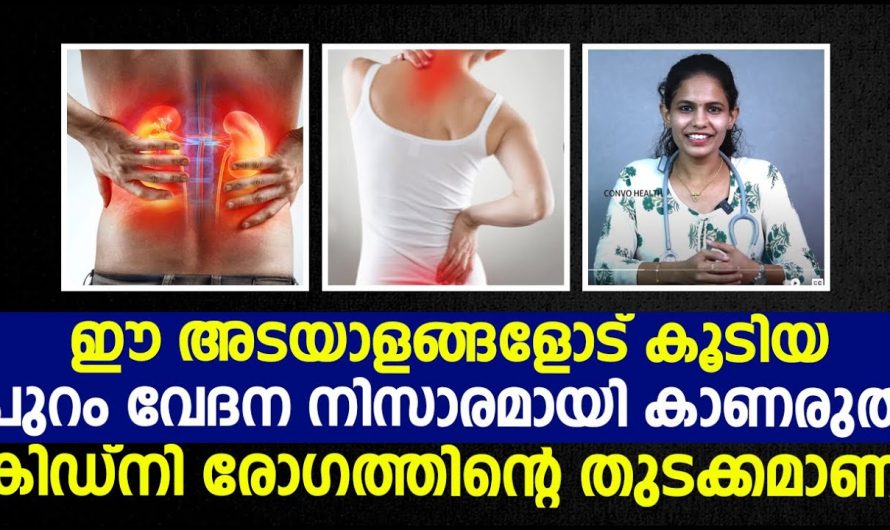 പുറം വേദന നിസ്സാരമായി കാണരുത്. നിങ്ങൾക്ക് പുറംവേദന ഈ ലക്ഷണങ്ങളോട് കൂടിയാണോ കാണാറുള്ളത്. എങ്കിൽ സൂക്ഷിക്കണം. | Back Pain Danger symptoms