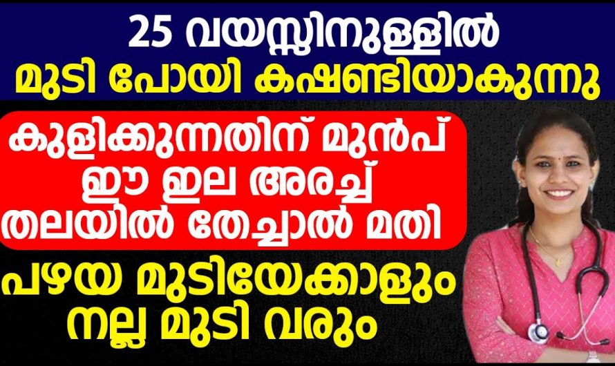 25 വയസ്സിനുള്ളിൽ തന്നെ മുടി എല്ലാം പോയി കഷണ്ടി ആയോ. കുളിക്കുന്നതിനു മുൻപ് ഈ ഇല അരച്ച് തലയിൽ തേച്ചാൽ മുടി വളരും. | Hair Growth Home Tip