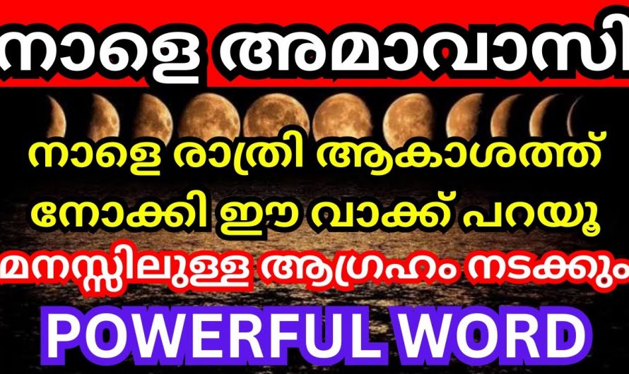 ഇന്ന് അപൂർവ്വ ചിങ്ങമാസ അമാവാസി. ഇന്ന് രാത്രി ആകാശത്ത് നോക്കി ഈ വാക്ക് പറയാൻ മറക്കല്ലേ സർവൈശ്വര്യം വരും.