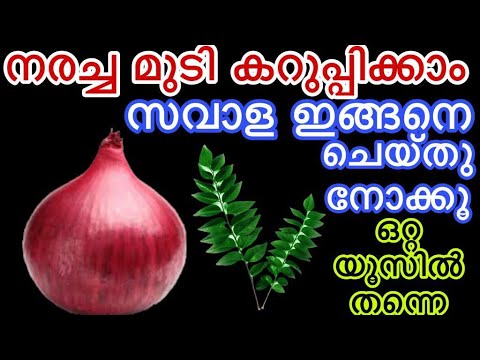 എത്ര നരച്ച മുടിയും കറുപ്പിക്കാൻ വീട്ടിലുണ്ടാക്കുന്ന ഈ ഡൈ മതി…