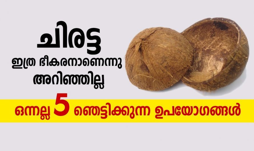 ചിരട്ടയ്ക്ക് ഇത്ര അധികം ഗുണങ്ങളോ! അറിഞ്ഞവരെല്ലാം ഞെട്ടിപ്പോയി                                                                                                                                                                                                                                                                                                                                                                                                                                                                                                                                                                                                                                                                                                                                                                                                                                                                                                                                                                                                                                                                                                                                                                                                                                                                                                                                                                                                                                                                                                                                                                                                                                                                                                                                                                                                                                                                                                                                                                                                                                                                ചിരട്ടയ്ക്ക് ഇത്ര അധികം ഗുണങ്ങളോ! അറിഞ്ഞവരെല്ലാം ഞെട്ടിപ്പോയി😱