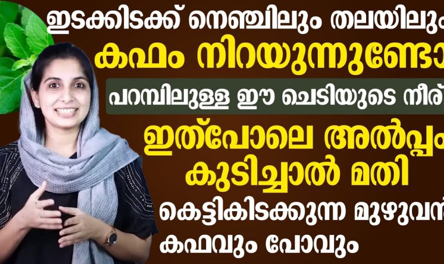 ഇതു മനസ്സിലാക്കിയാൽ കഫക്കെട്ട് പൂർണ്ണമായും ഇല്ലാതാക്കാൻ സാധിക്കും…