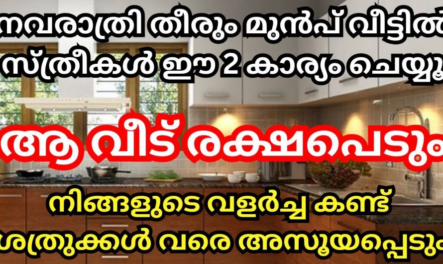 നവരാത്രി ദിവസം ഈ കാര്യങ്ങൾ ചെയ്താൽ നിങ്ങളുടെ വീടിന് ഒരുപാട് നേട്ടങ്ങൾ വന്ന് ചേരും..