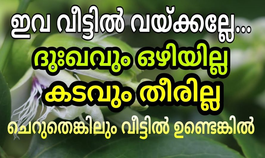 ഇവ ഒരിക്കലും വീടുകളിൽ വയ്ക്കരുത്.. നാശമാണ് ഫലം..