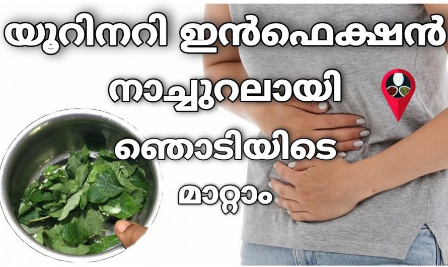 ഇതുണ്ടെങ്കിൽ മൂത്രാശയ അണുബാധ വീട്ടിൽ തന്നെ മാറ്റാം..