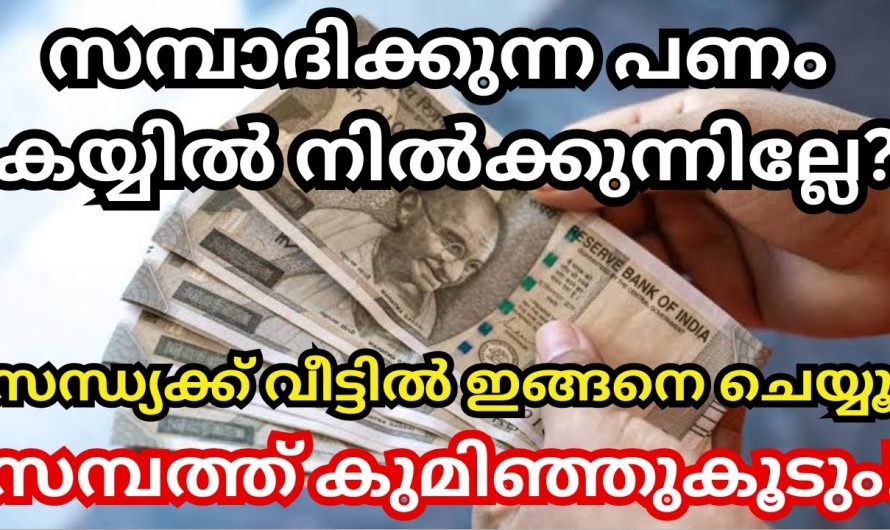 പണം സമ്പാദിക്കണോ..  വീട്ടിൽ ഈ കാര്യം ചെയ്താൽ മതി…