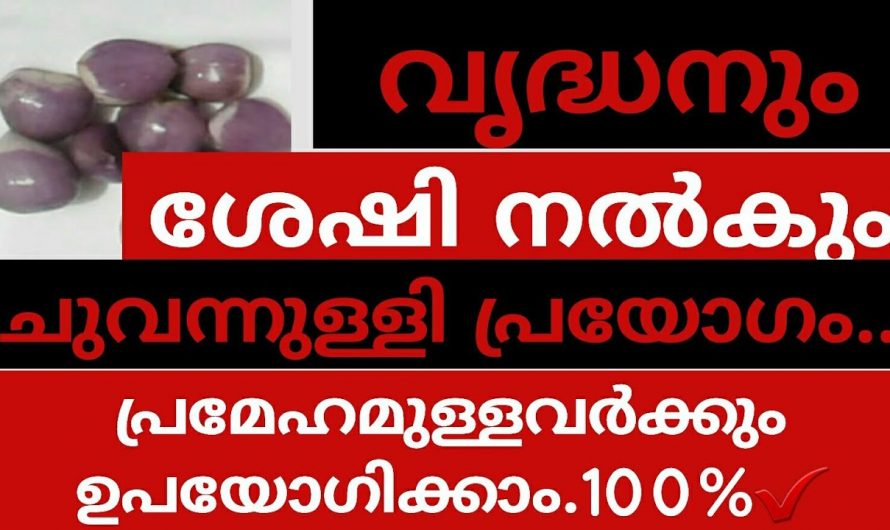 കാണാൻ ചെറുതാണെങ്കിലും  ഗുണത്തിൽ ഏറ്റവും വലിയവൻ…