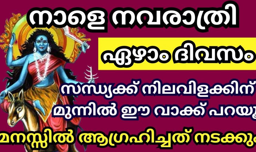 ദേവിക്ക് ഇവയൊക്കെ സമർപ്പിക്കൂ ജീവിതത്തിൽ ഒരുപാട് നേട്ടങ്ങൾ ഉണ്ടാകും..