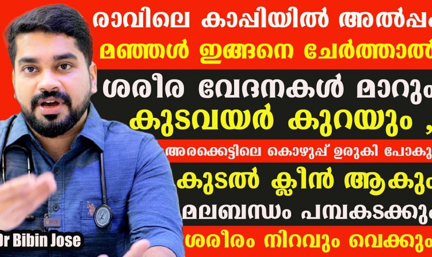 അമിതവണ്ണവും പൊണ്ണത്തടിയും കുറയ്ക്കണോ? എങ്കിൽ ഈ ഭക്ഷണങ്ങൾ പൂർണ്ണമായും ഒഴിവാക്കുക…