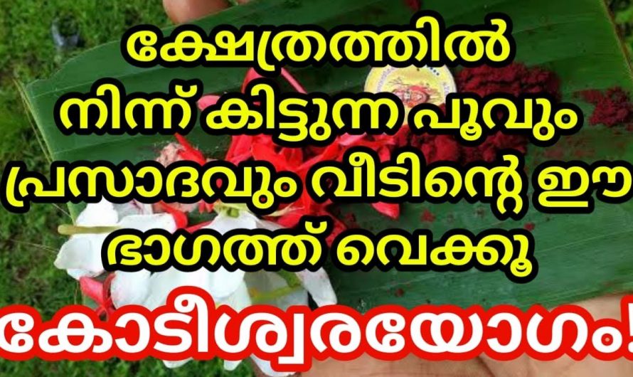 ക്ഷേത്രത്തിലെ പ്രസാദം സൂക്ഷിക്കേണ്ട രീതി അറിഞ്ഞില്ലെങ്കിൽ അത് വളരെ ദോഷം ചെയ്യും…