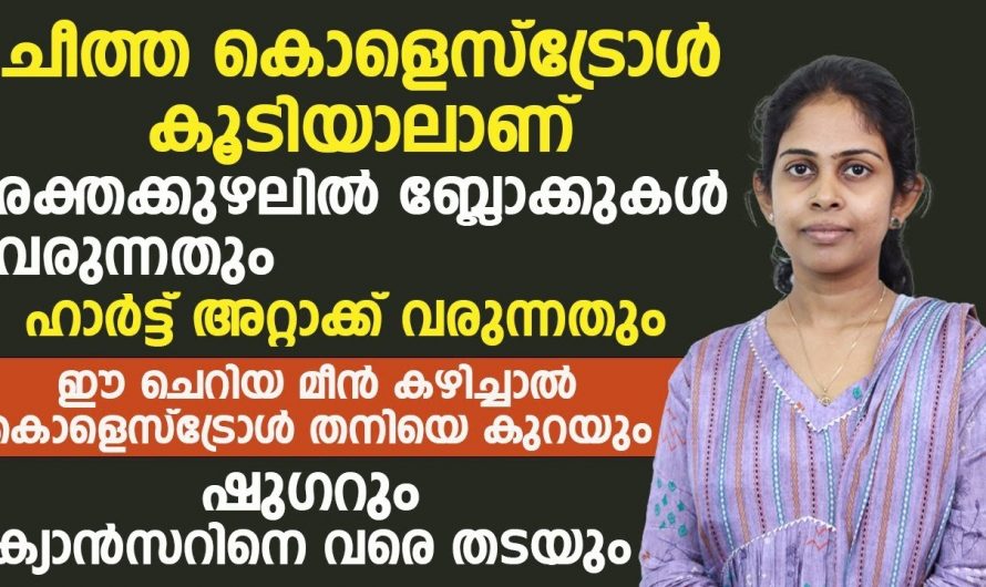 ഈ ഭക്ഷണങ്ങൾ ഒരിക്കലും കഴിക്കാതിരിക്കരുത് ഇവ പല രോഗങ്ങൾക്ക് കാരണമാകും…