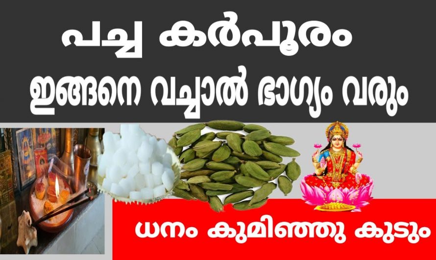 ധനം കുമിഞ്ഞു കൂടും പച്ചക്കർ പൂരം കൊണ്ട്  ഇങ്ങനെ ചെയ്താൽ മതി…..