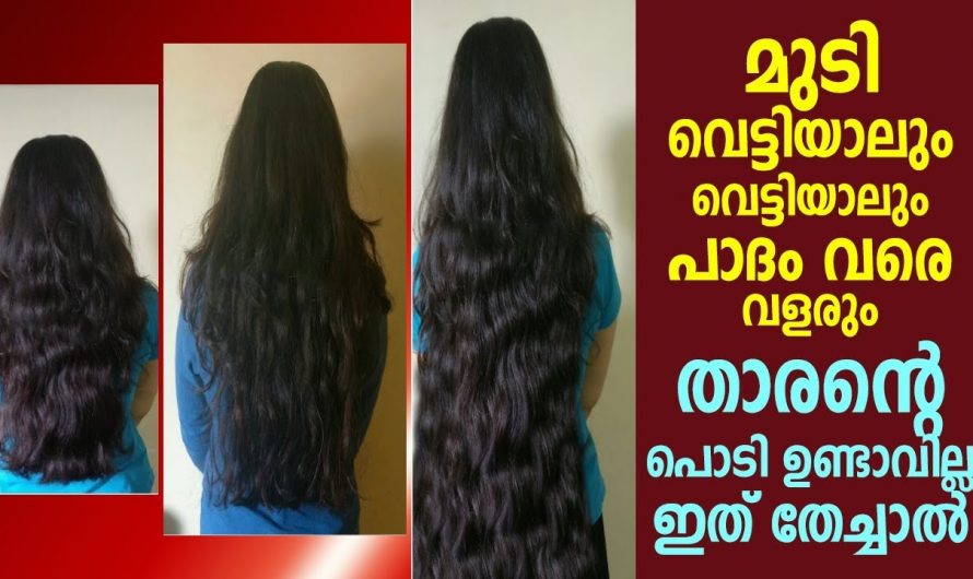 ഒരുപിടി അരിയുണ്ടെങ്കിൽ ഇനി മുടി കാടു പിടിച്ചു വളരും….