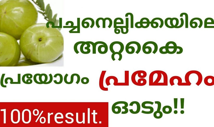 പ്രമേഹത്തിന് ഒരു കിടിലൻ ഒറ്റമൂലി.. പച്ച നെല്ലിക്കയും മഞ്ഞളും മാത്രം മതി..