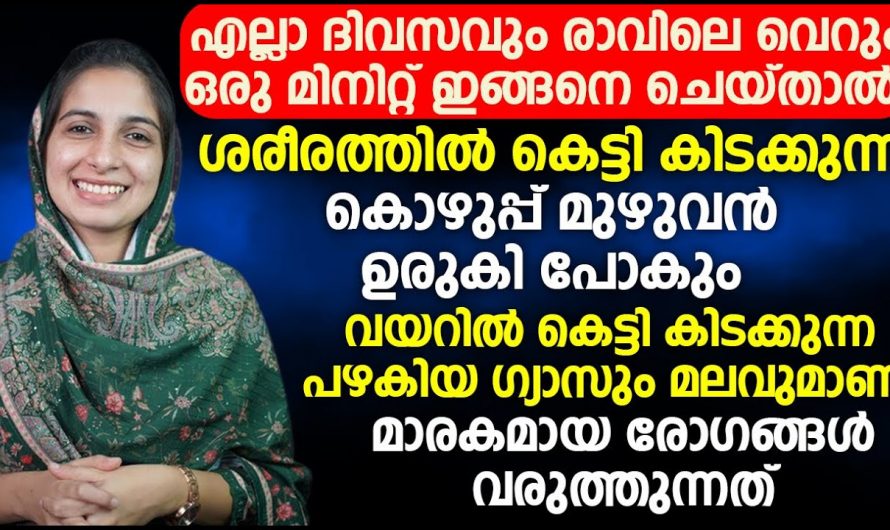 വയറിൽ ഉണ്ടാകുന്ന ഈ അസ്വസ്ഥതകളെ നിസാരമായി കണക്കാക്കരുത്.., ഇത് ഒരു രോഗമാണ്…