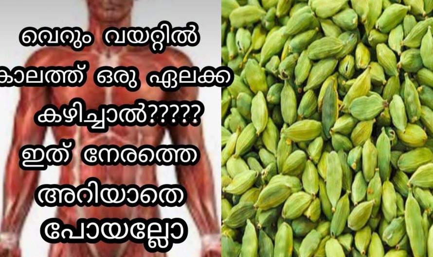 ഏലയ്ക്ക നിങ്ങൾ ഇങ്ങനെ കഴിച്ചു നോക്കൂ ഗുണം ഇരട്ടിയാണ്…