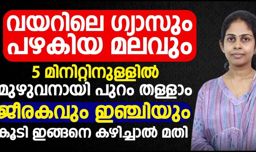 ഈ കാര്യം മനസ്സിലാക്കിയാൽ ജീവിതത്തിൽ ഇനി ഒരിക്കലും അസിഡിറ്റി ഒരു പ്രശ്നമാവില്ല…