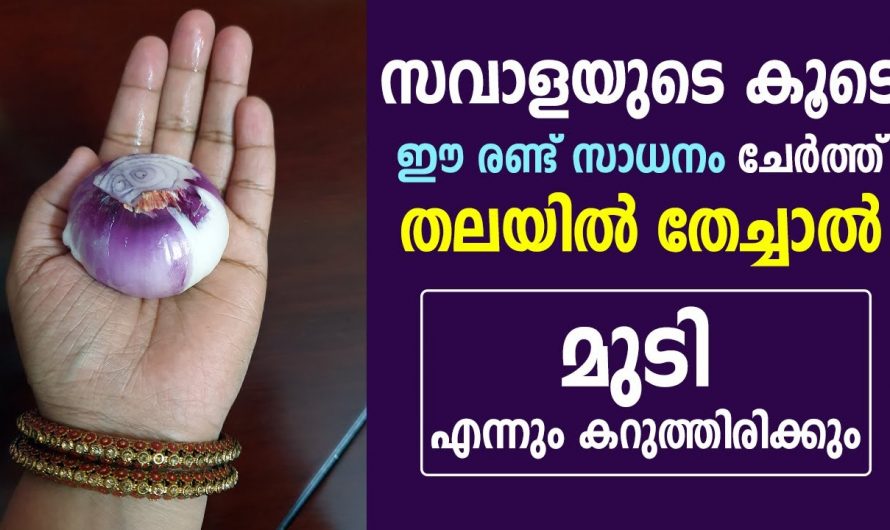 സവാളയുണ്ടെങ്കിൽ എളുപ്പത്തിൽ വീട്ടിൽ തന്നെ മുടി കറുപ്പിക്കാം..