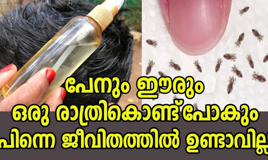 പെൻ ശല്യമകറ്റാൻ ഇതിലും എളുപ്പവഴി വേറെയില്ല….