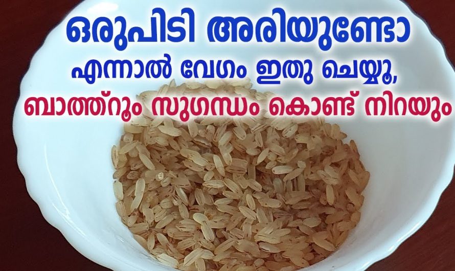 ബാത്റൂമിലെ ദുർഗന്ധം അകറ്റാൻ ഇതൊന്ന് വെച്ചാൽ മതി…