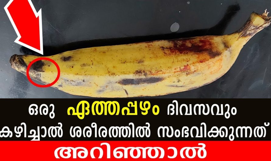 ഈ പഴത്തിന് ഇത്രയും പ്രത്യേകതകൾ ഉണ്ടോ…… ഇതുണ്ടെങ്കിൽ വേറെയൊന്നും വീട്ടിൽ വേണ്ട