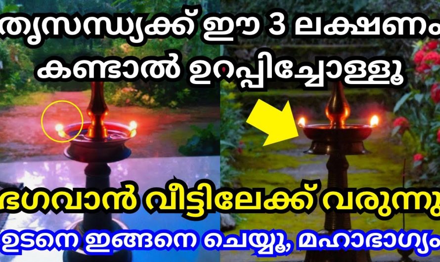 സന്ധ്യാ നേരത്തെ ഈ ലക്ഷണങ്ങൾ നിങ്ങൾ ശ്രദ്ധിച്ചിട്ടുണ്ടോ? ഇവ ഏറ്റവും വലിയ സൗഭാഗ്യങ്ങൾ കൊണ്ട് തരും..