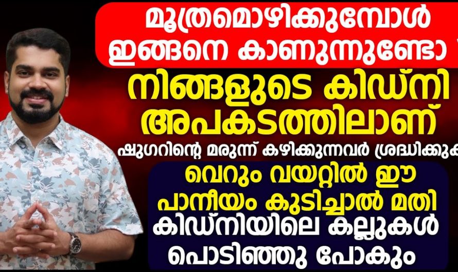 ശരീരം കാണിച്ചു തരുന്ന ഈ ലക്ഷണങ്ങൾ  വൃക്ക  തകരാറിലായതിന്റെ സൂചനയാണ്..