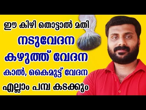 ഏതു വേദനയും നിമിഷങ്ങൾക്കുള്ളിൽ മാറും, ഈ ഇല കിഴികെട്ടി ഉപയോഗിച്ചാൽ മതി…