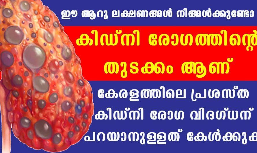 ശരീരം കാണിച്ചു തരുന്ന ഈ അപായ ലക്ഷണങ്ങൾ കിഡ്നി തകരാറിന്റേതാവാം… സൂക്ഷിച്ചാൽ പിന്നീട് ദുഃഖിക്കേണ്ടി വരില്ല…