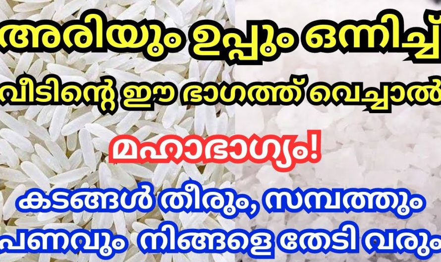 നിങ്ങൾക്ക് കോടീശ്വരയോഗം വന്നുചേരാൻ അരിയും ഉപ്പും കൊണ്ടുള്ള ഈ മാന്ത്രിക വിദ്യ ചെയ്തു നോക്കൂ…