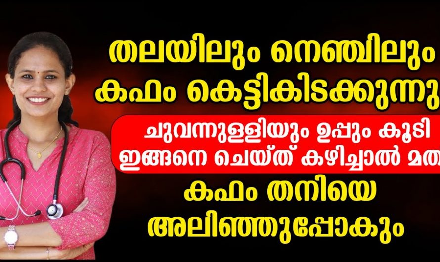 ഇതറിഞ്ഞാൽ കഫക്കെട്ടിന് ഉടനടി ആശ്വാസം… ഇവ ഒഴിവാക്കിയാൽ മതി കഫക്കെട്ട് പൂർണമായും മാറും…