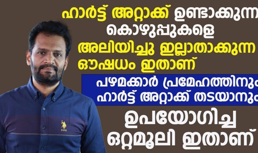 ദിവസവും വെളുത്തുള്ളി കഴിച്ചാൽ ശരീരത്തിൻറെ ആരോഗ്യം ഇരട്ടിയാകും.. പലർക്കും അറിയാത്ത സത്യം..