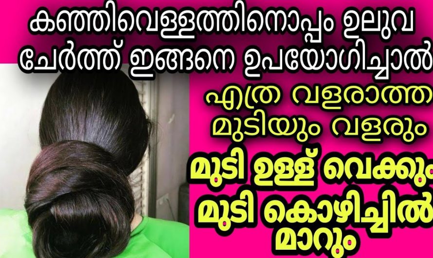 മുട്ടോളം മുടി വളരാൻ ഉലുവ മതി.. പരീക്ഷിച്ച് വിജയിച്ച ഒരു ഉഗ്രൻ ഹെയർ പായ്ക്ക്…