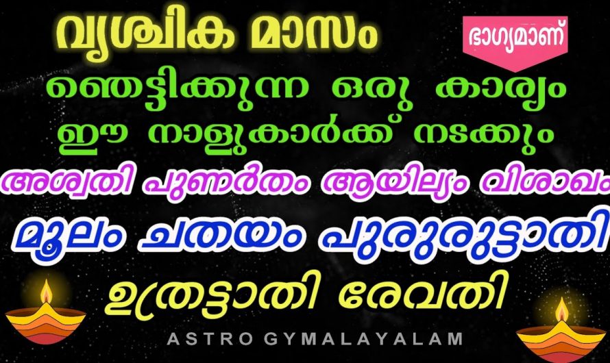 9 നക്ഷത്രക്കാരുടെ ജീവിതത്തിൽ ഇനി ഉയർച്ചയുടെ പടവുകൾ… ആരെയും ഞെട്ടിക്കുന്ന നേട്ടങ്ങൾ..