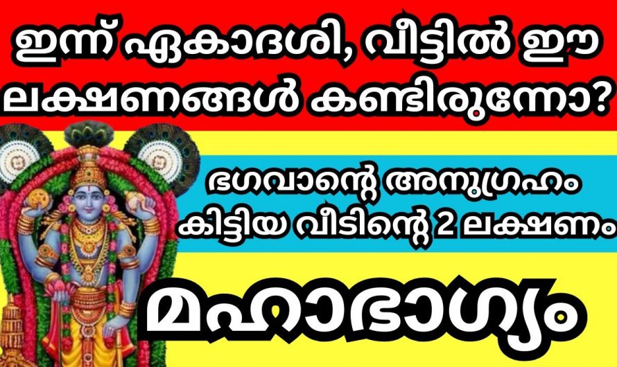 ഏകാദശി ദിവസം  വീട്ടിൽ ഈ ലക്ഷണങ്ങൾ കാണുന്നത് മഹാഭാഗ്യത്തിന്റെ സൂചനയാണ്…