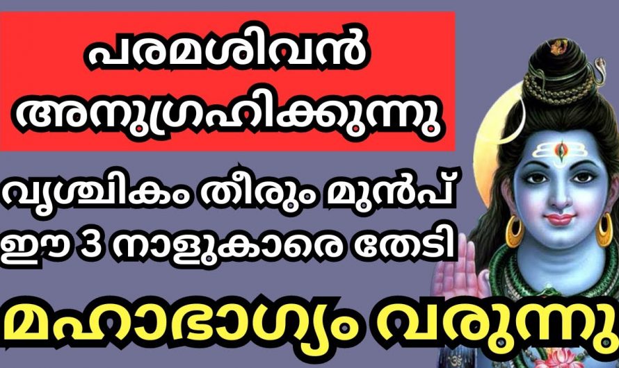 ശിവ ഭഗവാൻറെ കടാക്ഷത്താൽ ഉയരങ്ങൾ കീഴടക്കും ഈ മൂന്നു നാളുകാർ, ഇവർക്ക് ഇനി ഭാഗ്യത്തിന്റെ ദിവസങ്ങൾ…