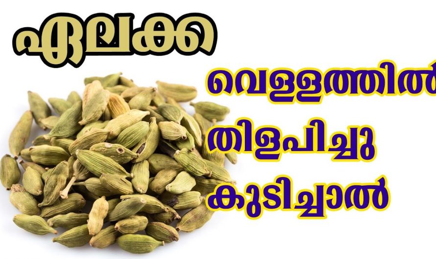 ഏലക്ക ശരീരത്തിൽ വരുത്തുന്ന അത്ഭുതകരമായ മാറ്റങ്ങൾ, ഇതാരും അറിയാതെ പോകരുത്…