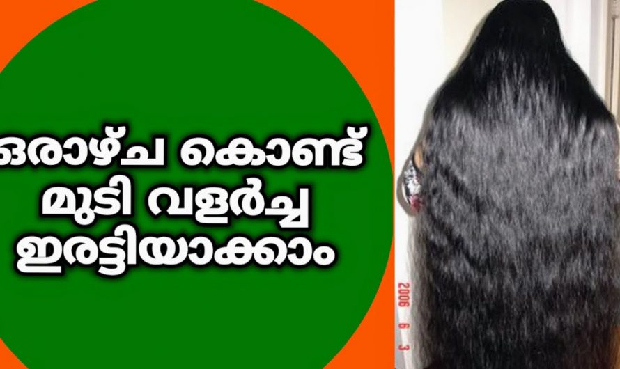 മുടി വളർച്ച ഇരട്ടിക്കാൻ ഈ ഒരു ഹെയർ പായ്ക്ക് മാത്രം മതി…