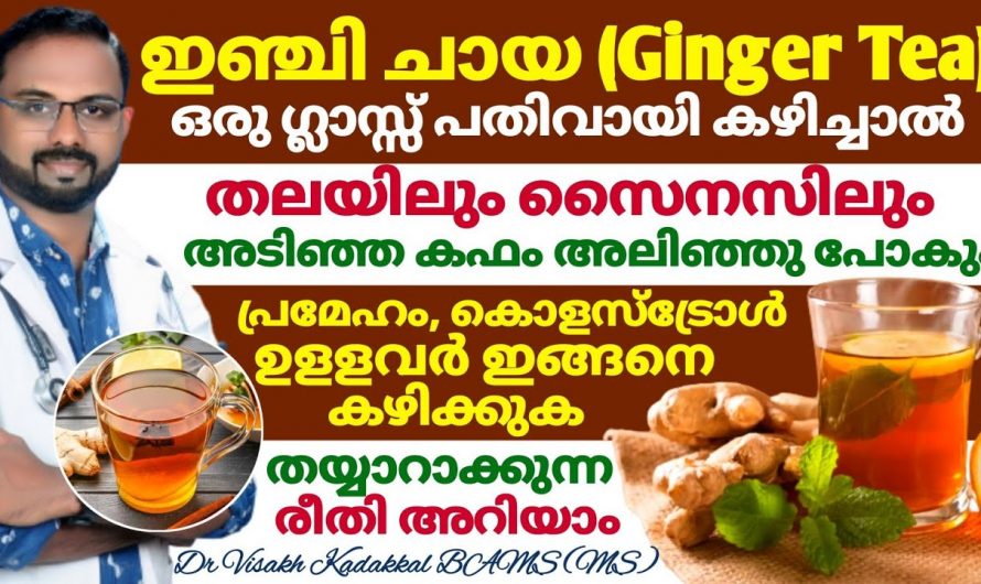 ദിവസവും ഇഞ്ചി കഴിക്കുന്നവരിൽ ഈ രോഗങ്ങൾ ഒരിക്കലും വരില്ല…