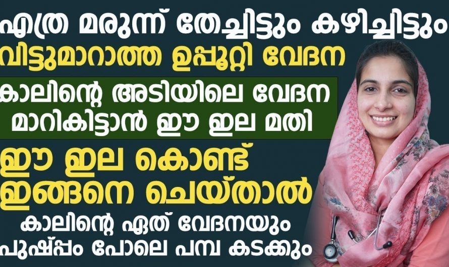 വിട്ടുമാറാത്ത ഉപ്പൂറ്റി വേദന ഉള്ളവർ തീർച്ചയായും ഈ സത്യം അറിയണം..