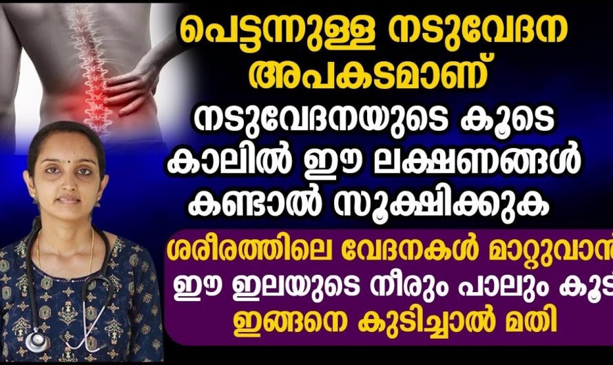 നിങ്ങൾക്ക് ഇടയ്ക്കിടെ നടുവേദന വരാറുണ്ടെങ്കിൽ സൂക്ഷിക്കണം, യഥാർത്ഥ കാരണം ഈ രോഗമാണ്…