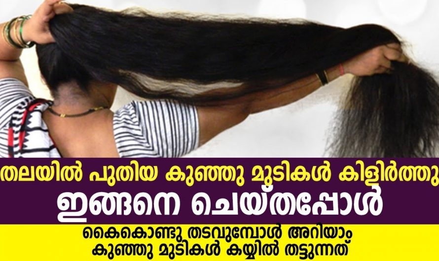 മുടി പാദത്തോളം വളരുവാൻ ഒരു സവാള മതി…  കിടിലൻ ടിപ്പ്