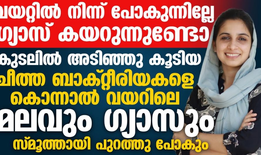 ശരീരത്തിലെ ഈ ലക്ഷണങ്ങൾ കുടലിലെ ബാക്ടീരിയാക്കൾ ഉണ്ടാക്കുന്ന പ്രശ്നമാണ്…