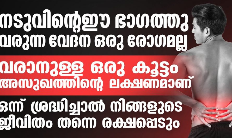 ഇത് ഒരു സാധാരണ നടുവേദന അല്ല.. ഈ ലക്ഷണങ്ങൾ ഉണ്ടെങ്കിൽ സൂക്ഷിക്കുക..