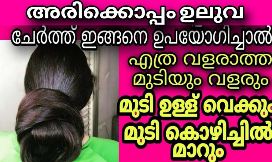 ഈ മൂന്ന് ചേരുവകൾ ഉണ്ടെങ്കിൽ മുടിയുടെ വളർച്ച ഇരട്ടിയാക്കാം..100% റിസൾട്ട് കിട്ടും…