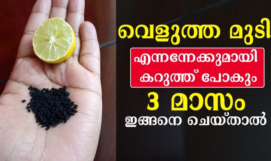 ഡൈ ഉപയോഗിക്കാതെ എത്ര നരച്ച മുടിയും കറുപ്പിക്കാം വീട്ടിൽ തന്നെ… ഇതാ ഒരു കിടിലൻ വിദ്യ…